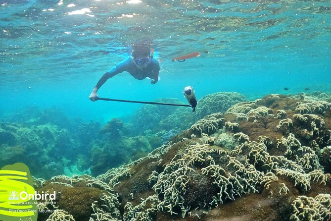 [Phu Quoc] Private Speedboat & Short-Snorkel: South Hidden Reefs - What private really means here