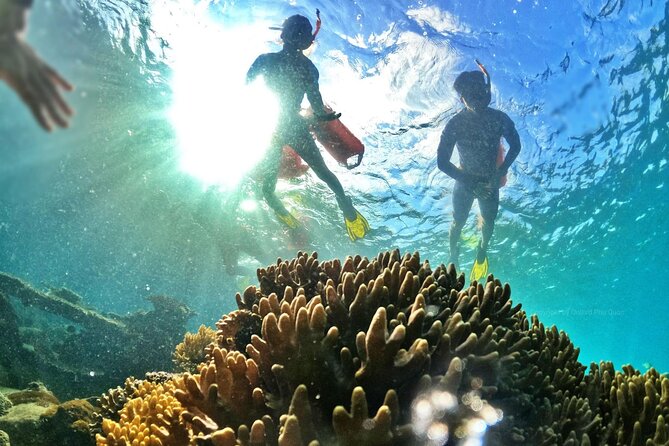 [Phu Quoc] Private Speedboat & Short-Snorkel: South Hidden Reefs - Gear, snacks, and the missing lunch