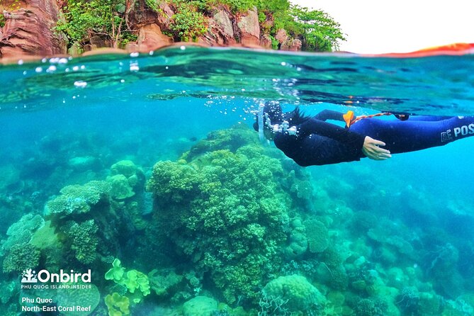 [Phu Quoc] Private Speedboat & Short-Snorkel: South Hidden Reefs - The second reef: Half-moon or Northeast Coral Reef