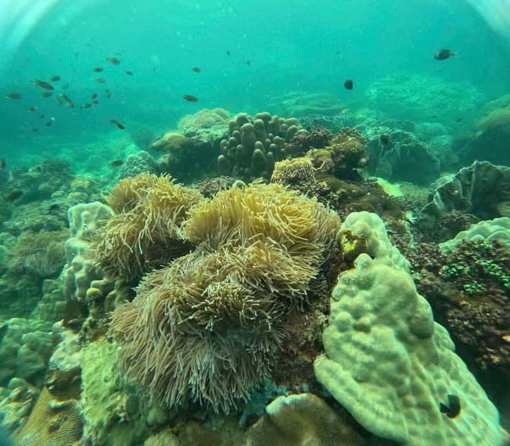 Phu Quoc: Snorkeling and Island Hopping by Speedboat & Lunch - A Full Day on Phu Quoc’s Southern Water