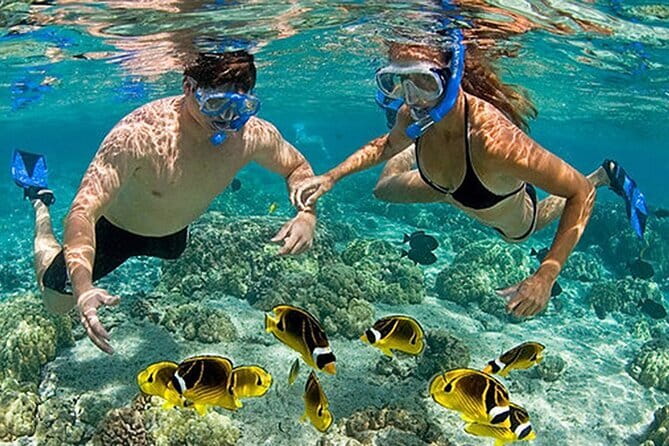 Phu Quoc: Snorkeling and Island Hopping By Speedboat with Lunch - Who will enjoy this speedboat day most?