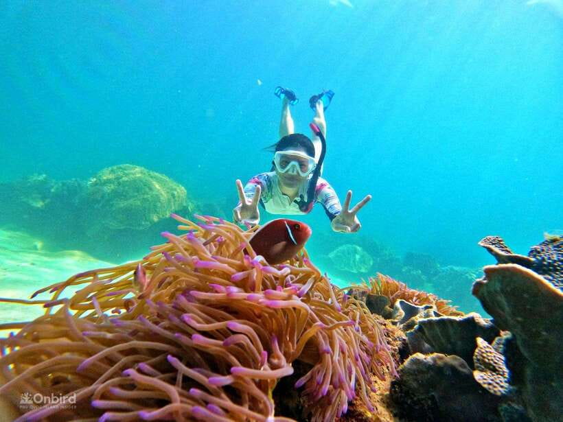 Phu Quoc: Speed Boat Tour 4 Islands - 2 Reefs Snorkeling - A six-hour route built around two reefs