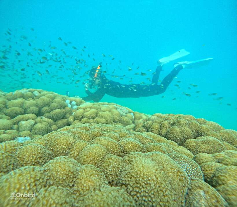 Phu Quoc: Speed Boat Tour 4 Islands - 2 Reefs Snorkeling - Four islands without the usual crowding