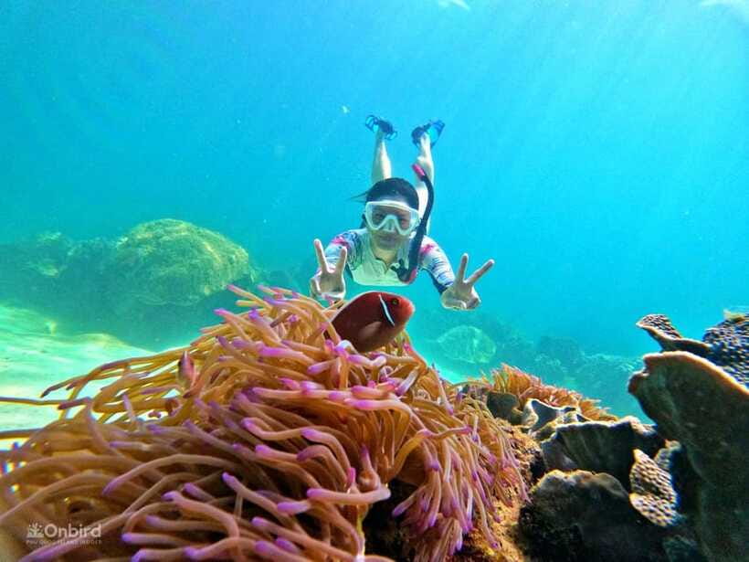 Phu Quoc: Speed Boat Tour 4 Islands - 2 Reefs Snorkeling - The beach and pineapple garden stop