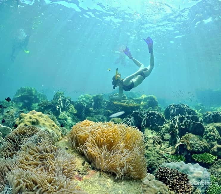 Phu Quoc Speedboat Pro Snorkeling: 4 Islands-2 Reefs & Meal - Why this is more than a standard island boat trip