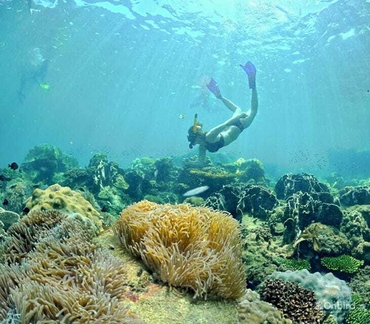 Phu Quoc Speedboat Pro Snorkeling: 4 Islands-2 Reefs & Meal - Should you book the Phu Quoc Speedboat Pro Snorkeling tour?