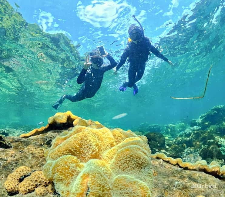 Phu Quoc Speedboat Pro Snorkeling: 4 Islands-2 Reefs & Meal - Stop one: learn the basics before reaching the reef