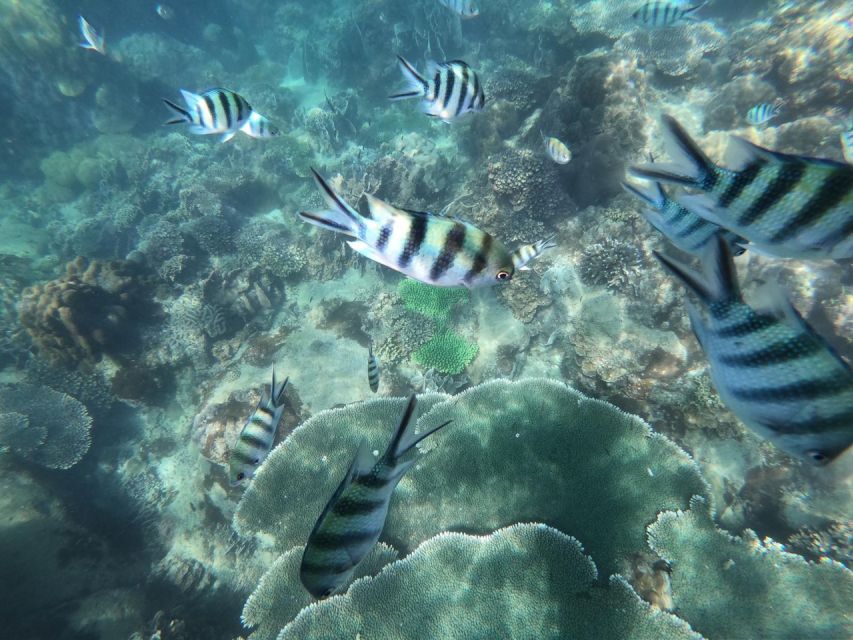 Phu Quoc: Speedboat Tour of 4 Islands with Snorkeling & BBQ - Weather, sea conditions, and what to pack