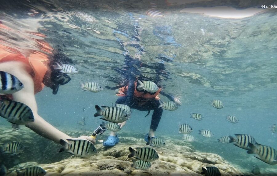 Phu Quoc: Speedboat Tour of 4 Islands with Snorkeling & BBQ - Guides, group size, and the feel of the day