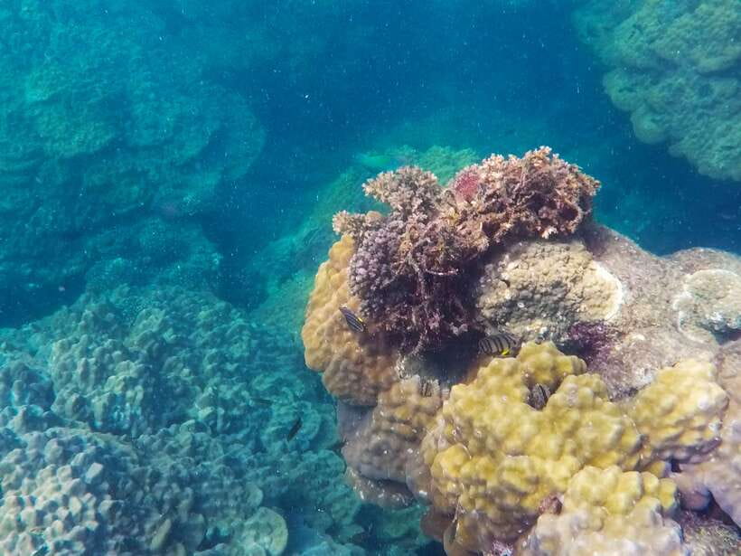 Phu Quoc Speedboat Trip: 3 Islands By Speedboat - What the $36 price really covers