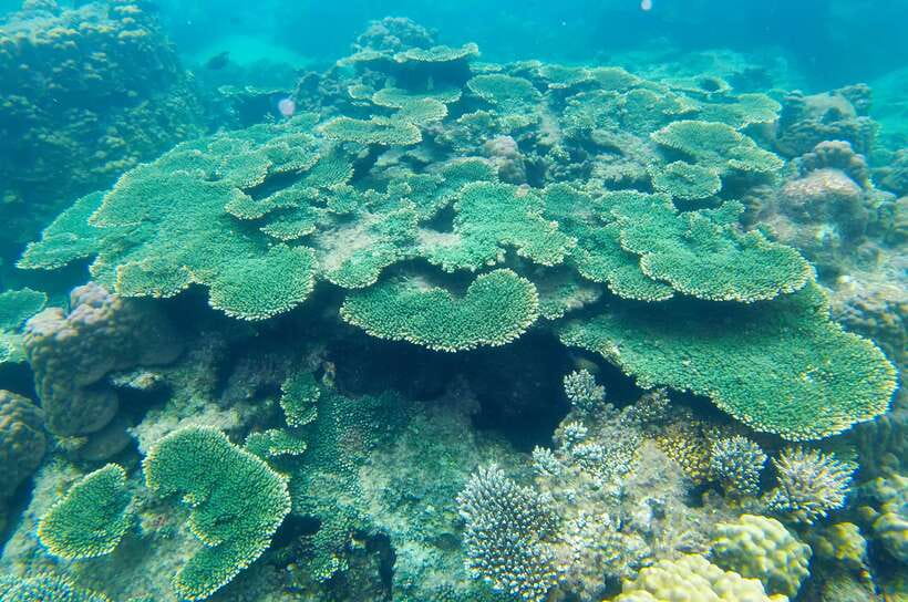 Phu Quoc Speedboat Trip: 3 Islands By Speedboat - Practical ways to prepare