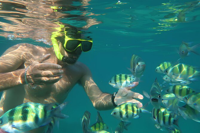 Phuket 3 Khai Island Speedboat With Snorkeling (Half or Full Day) - Three Khai Islands, three different moods