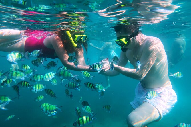 Phuket 3 Khai Island Speedboat With Snorkeling (Half or Full Day) - Khai Nui: better coral, weather permitting