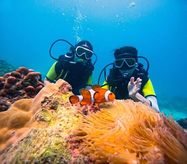 Phuket: 3 Khai Islands Speedboat Tour- Snorkeling & Relaxing - What this Khai Islands trip is really about