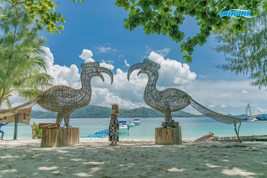 Phuket: Coral Island Day Tour by Speedboat - Who should book this Coral Island trip
