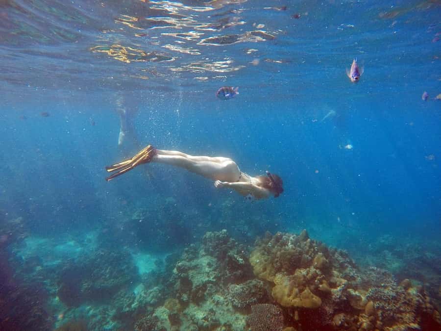 Phuket: Deluxe Phi Phi Tour by Speedboat & Lunch Buffet - Key points to know before booking