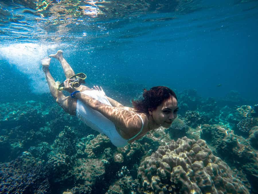 Phuket: Deluxe Phi Phi Tour by Speedboat & Lunch Buffet - Why this Phi Phi day trip works