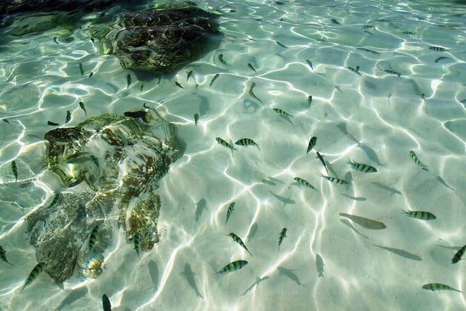 Phuket: Half Day Khai Islands by Speedboat - A quick route to Phuket’s three Khai Islands