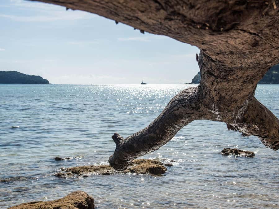 Phuket: James Bond Island Sea Canoe by Speedboat - Transport, timing, and the real value of $77