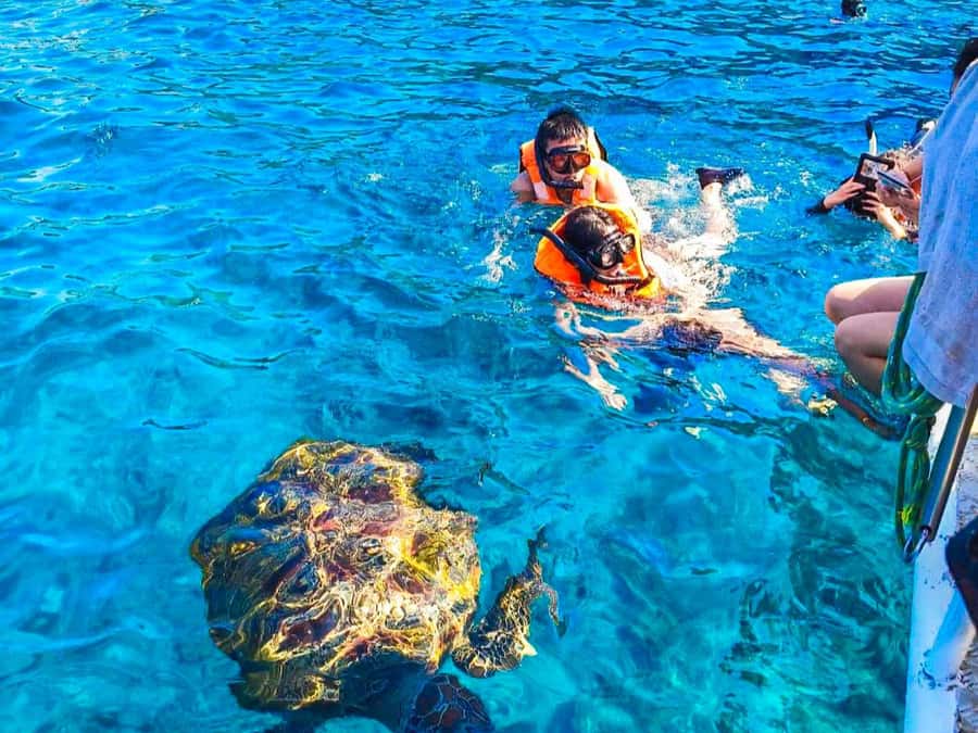 Phuket/Khao Lak: Similan Islands Speedboat Tour with Lunch - Ko Miang, lunch, and the best beach break