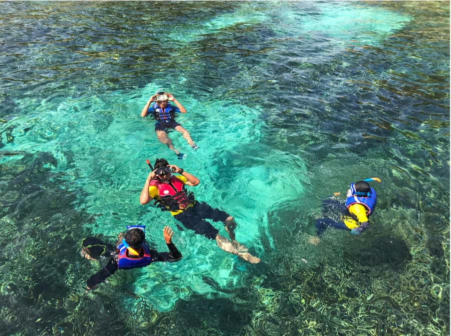 Phuket/Khao Lak: Similan Islands Speedboat Tour with Lunch - Ko Payu and the chance to see Nemo