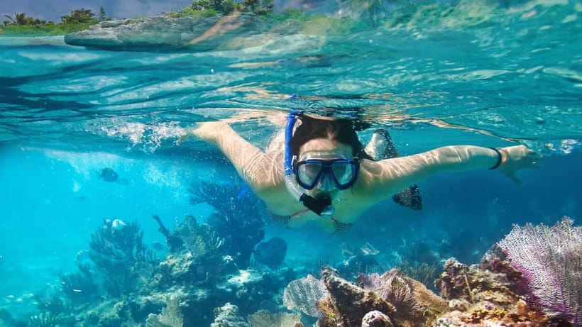Phuket : Phi Phi Island Trip by Speedboat with Lunch - Who Will Enjoy This Trip Most?