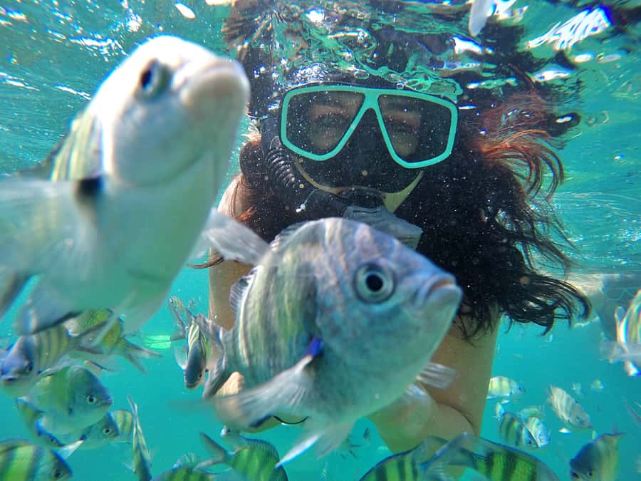 Phuket: Phi Phi & James Bond Island Combo Day Tour w/Lunch - One day, two very different island worlds