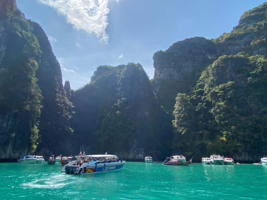 Phuket: Phi Phi & Kai Island Private Speed Boat Tour - Monkey Beach and the wildlife question