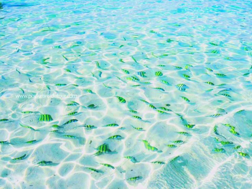 Phuket: Phi Phi & Khai Island Private Speedboat Charter Tour - Key points to know before booking