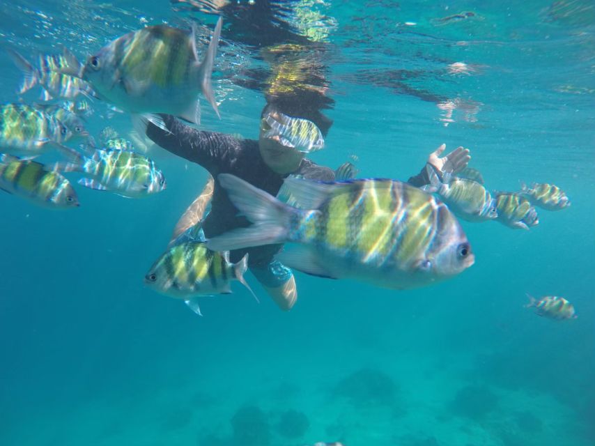 Phuket: Phi Phi & Khai Island Private Speedboat Charter Tour - Pileh Bay and the underwater portion