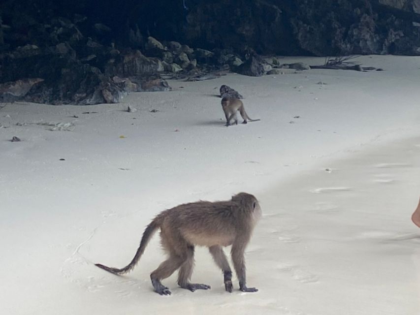 Phuket: Phi Phi & Khai Island Private Speedboat Charter Tour - Lunch and free time on the beach