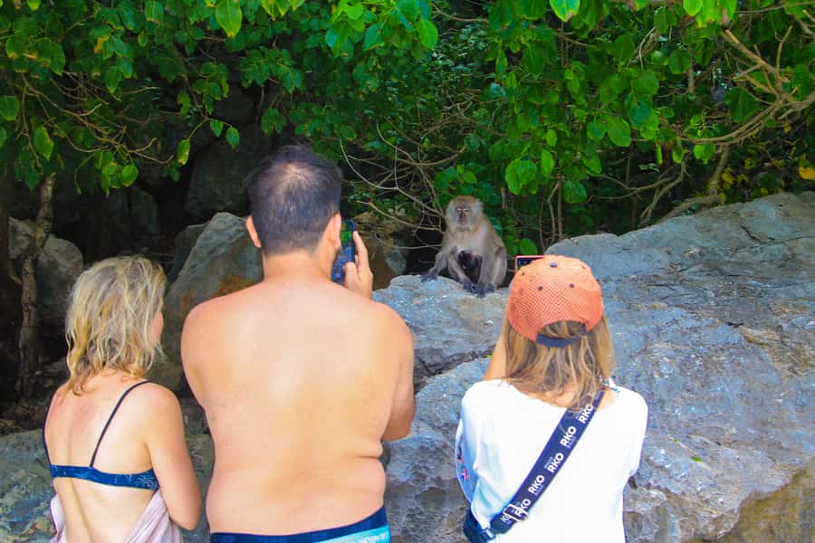 Phuket: Phi Phi Khai or Maiton Island by Speedboat/Catamaran - Maya Bay and Viking Cave under conservation rules