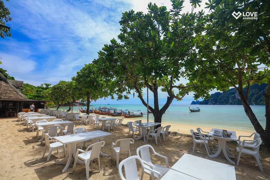 Phuket: Phi Phi Pileh Lagoon Bamboo Island by Speed Boat - Who will enjoy this Phi Phi day most