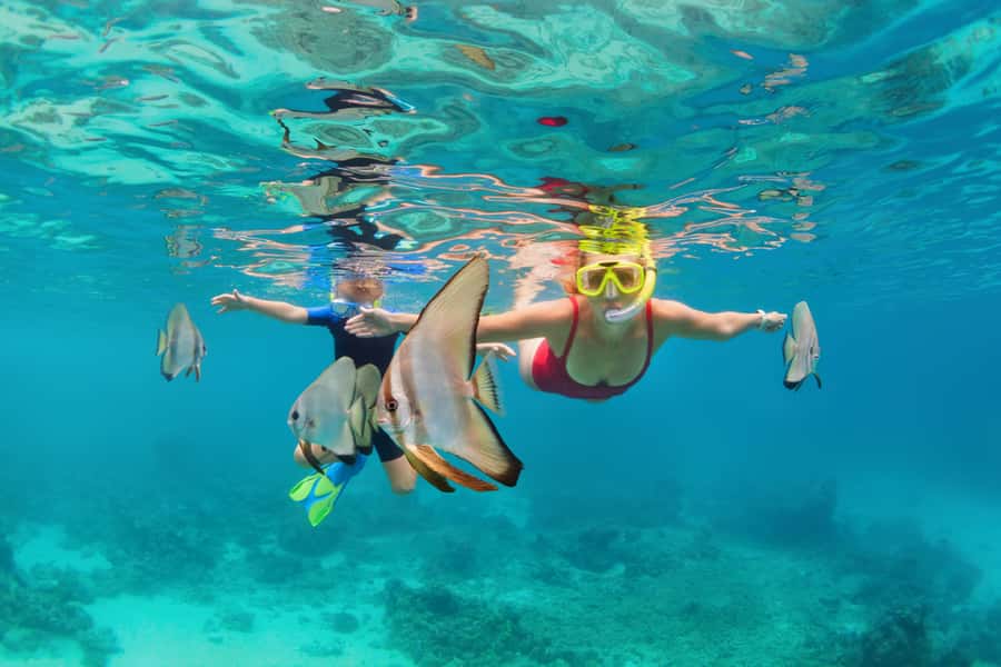 Phuket: Similan day full day trip by speedboat - Key points to know before booking