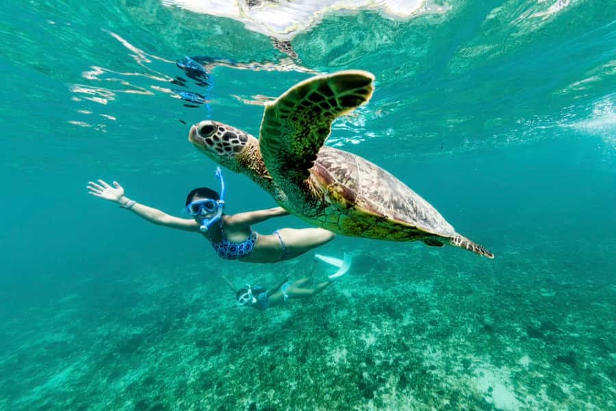 Phuket: Similan day full day trip by speedboat - The speedboat ride across the Andaman Sea