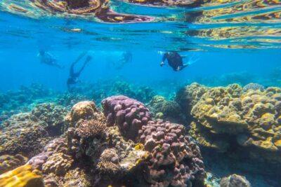 Similan day full day trip by speedboat