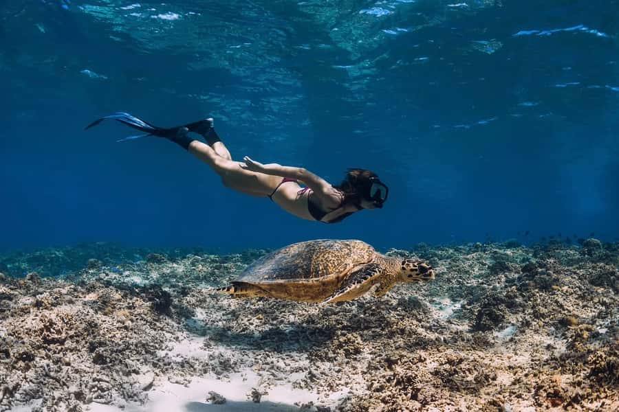Phuket: Similan day full day trip by speedboat - Ko Miang: the first taste of island scenery