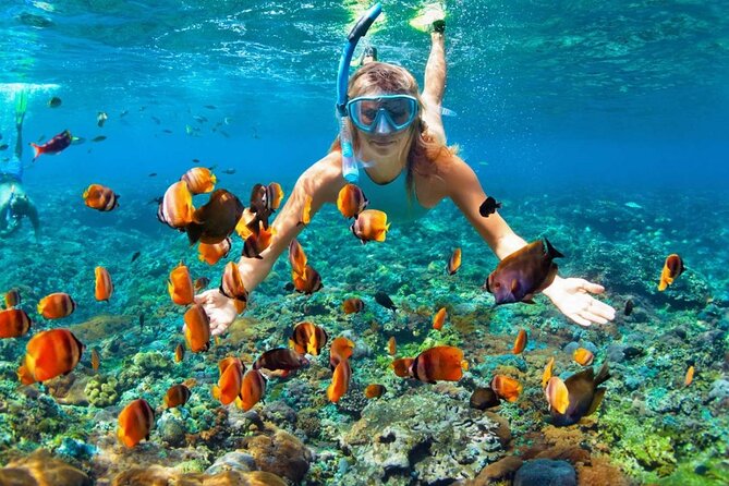 Phuket Similan Island Andaman Ocean Tour by Van and Speedboat - Snorkeling around Islands 5 and 6