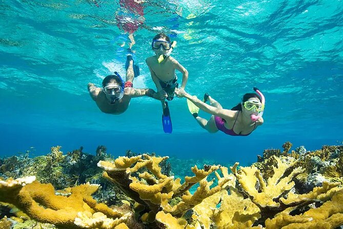 Phuket Similan Island Andaman Ocean Tour by Van and Speedboat - Koh Miang and the white sand of Princess Bay