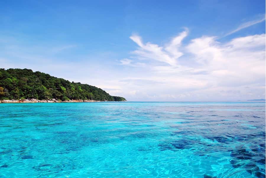 Phuket: Similan Island Day Trip by Speed Boat Catamaran - Group size, comfort, and the catamaran question