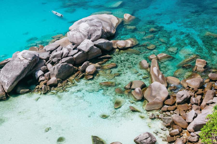 Phuket: Similan Islands Day Tour by Speedboat with Lunch - Island 9 and the coral at Christmas Point