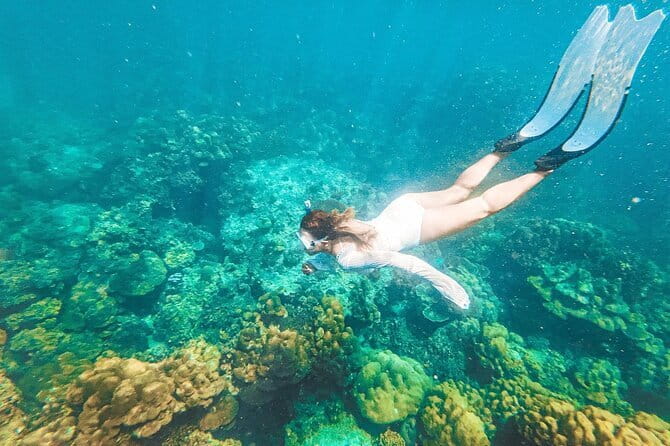 Phuket Speedboat Day Tour to Phi Phi & Maya Bay Highlights - Reaching Maya Bay, the morning headline