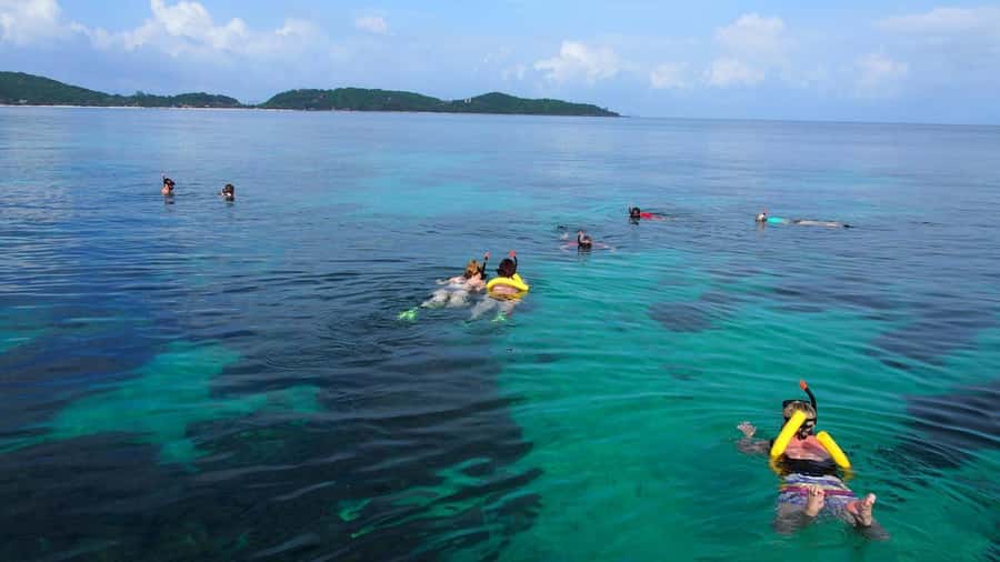 Phuket to Phi Phi Full-Day Luxury Speed Boat Charter - Who will enjoy this day most
