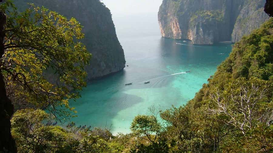 Phuket to Phi Phi Full-Day Luxury Speed Boat Charter - Snorkeling around Phi Phi and possible reef sharks