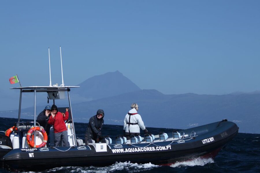 Pico Island: Azores Whale & Dolphin Watching on Zodiac Boat - Why Pico is a fine place to search for whales