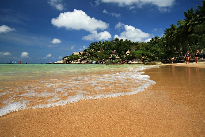 Pig Feeding, Kayaking, Snorkeling Trip at Pig Island By Speedboat From Koh Samui - The curious appeal of Koh Madsum’s pigs
