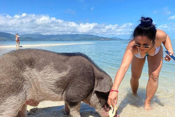 Pig Feeding, Kayaking, Snorkeling Trip at Pig Island By Speedboat From Koh Samui - How the timing affects the value