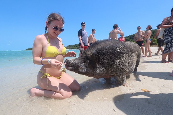 Pig Feeding, Kayaking, Snorkeling Trip at Pig Island By Speedboat From Koh Samui - Is $57.92 a fair price?