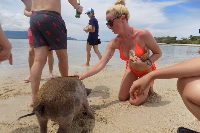 Pig Feeding, Kayaking, Snorkeling Trip at Pig Island By Speedboat From Koh Samui - Who should book this island day?