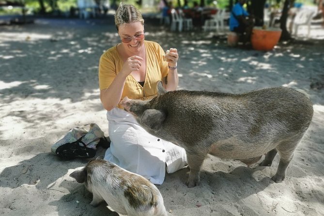 Pig Feeding, Kayaking, Snorkeling Trip at Pig Island By Speedboat From Koh Samui - Three hours on Pig Island